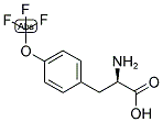 (R)-2-AMINO-3-(4-TRIFLUOROMETHOXY-PHENYL)-PROPIONIC ACID 结构式