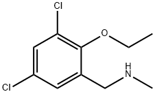1-(3,5-DICHLORO-2-ETHOXYPHENYL)-N-METHYLMETHANAMINE 结构式