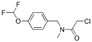 2-CHLORO-N-[4-(DIFLUOROMETHOXY)BENZYL]-N-METHYLACETAMIDE 结构式