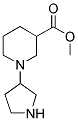 1-PYRROLIDIN-3-YL-PIPERIDINE-3-CARBOXYLIC ACID METHYL ESTER 结构式