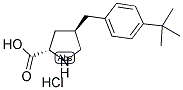 (R)-GAMMA-(4-TERT-BUTYL-BENZYL)-L-PROLINE-HCL 结构式