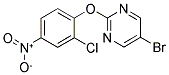 5-BROMO-2-(2-CHLORO-4-NITRO-PHENOXY)-PYRIMIDINE 结构式