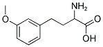 2-AMINO-4-(3-METHOXY-PHENYL)-BUTYRIC ACID 结构式