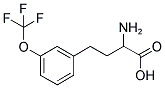 2-AMINO-4-(3-TRIFLUOROMETHOXY-PHENYL)-BUTYRIC ACID 结构式