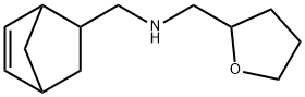 N-甲基-N-((四氢呋喃-2-基)甲基)双环[2.2.1]庚-5-烯-2-胺 结构式