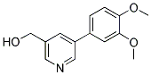 [5-(3,4-DIMETHOXYPHENYL)PYRIDIN-3-YL]METHANOL 结构式