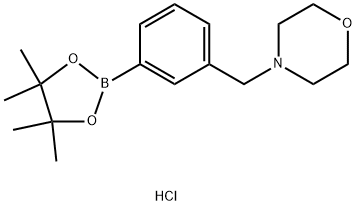 3-(4-MORPHOLINOMETHYL)-PHENYLBORONIC ACID PINACOL ESTER HYDROCHLORIDE 结构式