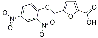 5-[(2,4-DINITROPHENOXY)METHYL]-2-FUROIC ACID 结构式