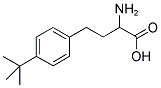 2-AMINO-4-(4-TERT-BUTYL-PHENYL)-BUTYRIC ACID 结构式