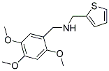 1-THIEN-2-YL-N-(2,4,5-TRIMETHOXYBENZYL)METHANAMINE 结构式