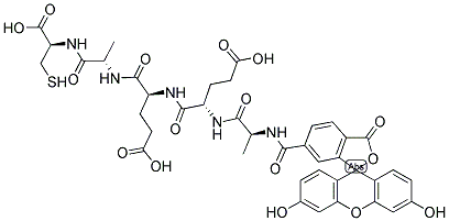 6-FAM-AEEAC-STICHODACTYLA HELIANTHUS NEUROTOXIN (SHK) 结构式