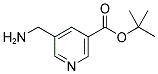 TERT-BUTYL-5-AMINOMETHYL-NICOTINATE 结构式