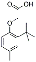 (2-TERT-BUTYL-4-METHYLPHENOXY)ACETIC ACID 结构式