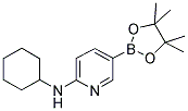 6-(环己氨基)吡啶-3-硼酸频哪醇酯 结构式
