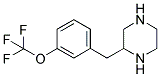 2-(3-TRIFLUOROMETHOXY-BENZYL)-PIPERAZINE 结构式