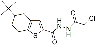 5-TERT-BUTYL-N'-(CHLOROACETYL)-4,5,6,7-TETRAHYDRO-1-BENZOTHIOPHENE-2-CARBOHYDRAZIDE 结构式