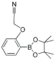2-CYANOMETHOXY-PHENYLBORONIC ACID, PINACOL ESTER 结构式