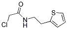 2-CHLORO-N-(2-THIEN-2-YLETHYL)ACETAMIDE 结构式