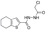 N'-(2-CHLOROACETYL)-4,5,6,7-TETRAHYDRO-1-BENZOTHIOPHENE-2-CARBOHYDRAZIDE 结构式