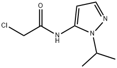 2-氯-N-[1-(丙-2-基)-1H-吡唑-5-基]乙酰胺 结构式
