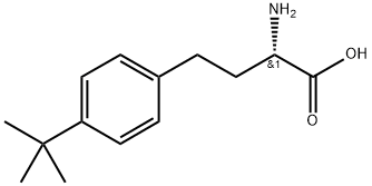 (S)-2-AMINO-4-(4-TERT-BUTYL-PHENYL)-BUTYRIC ACID 结构式