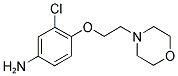 3-CHLORO-4-[2-(4-MORPHOLINYL)ETHOXY]PHENYLAMINE 结构式