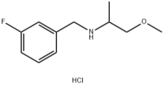 (3-FLUORO-BENZYL)-(2-METHOXY-1-METHYL-ETHYL)-AMINE HYDROCHLORIDE 结构式