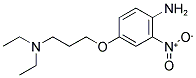 4-[3-(N,N-DIETHYLAMINO)PROPOXY]-2-NITROANILINE 结构式