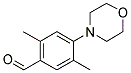 2,5-DIMETHYL-4-MORPHOLIN-4-YL-BENZALDEHYDE 结构式