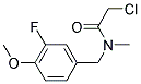 2-CHLORO-N-(3-FLUORO-4-METHOXYBENZYL)-N-METHYLACETAMIDE 结构式