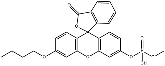 O-甲基-O-(N-丁基荧光素)磷酸盐 结构式