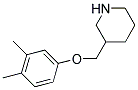 3-[(3,4-DIMETHYLPHENOXY)METHYL]PIPERIDINE 结构式