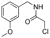 2-CHLORO-N-(3-METHOXY-BENZYL)-ACETAMIDE 结构式