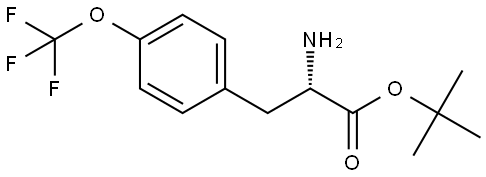(S)-4-(Trifluoromethoxyl)phenylalanine t-butyl ester 结构式