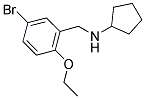 N-(5-BROMO-2-ETHOXYBENZYL)-N-CYCLOPENTYLAMINE 结构式