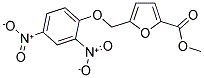 METHYL 5-[(2,4-DINITROPHENOXY)METHYL]-2-FUROATE 结构式