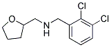 N-(2,3-DICHLOROBENZYL)-N-(TETRAHYDROFURAN-2-YLMETHYL)AMINE 结构式