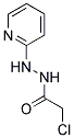 2-CHLORO-N'-PYRIDIN-2-YLACETOHYDRAZIDE 结构式