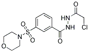 N'-(CHLOROACETYL)-3-(MORPHOLIN-4-YLSULFONYL)BENZOHYDRAZIDE 结构式