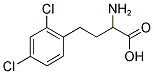 2-Amino-4-(2,4-dichloro-phenyl)-butyric acid 结构式