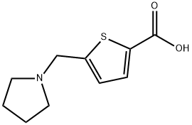 5-(吡咯烷-1-基甲基)噻吩-2-羧酸 结构式