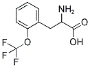 2-AMINO-3-(2-TRIFLUOROMETHOXY-PHENYL)-PROPIONIC ACID 结构式