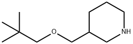3-((新戊氧基)甲基)哌啶 结构式
