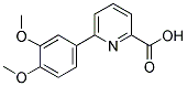 6-(3,4-DIMETHOXYPHENYL)PYRIDINE-2-CARBOXYLIC 结构式