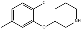 3-(2-氯-5-甲基苯氧基)哌啶 结构式