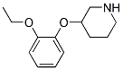 3-(2-乙氧基苯氧基)哌啶 结构式
