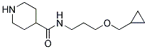 N-[3-(CYCLOPROPYLMETHOXY)PROPYL]PIPERIDINE-4-CARBOXAMIDE 结构式