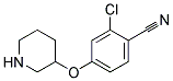 2-氯-4-(哌啶-3-基氧)苯甲腈 结构式
