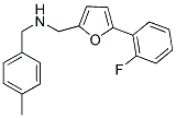 1-(5-(2-FLUOROPHENYL)-2-FURYL)-N-(4-METHYLBENZYL)METHANAMINE 结构式