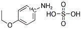 4-ETHOXYANILINE, SULFATE, [RING-14C]- 结构式